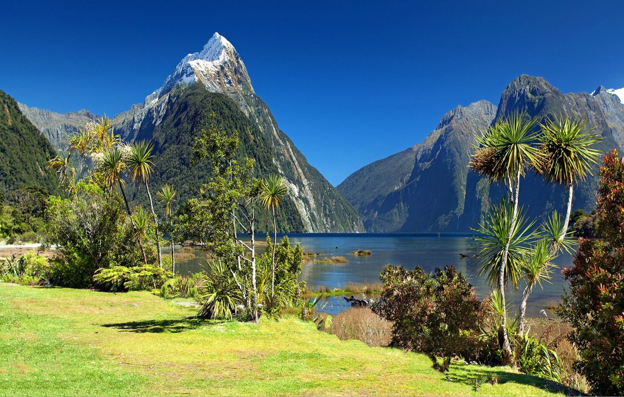 Milford Sound with Mitre Peak, lush greenery and clear water, Fiordland