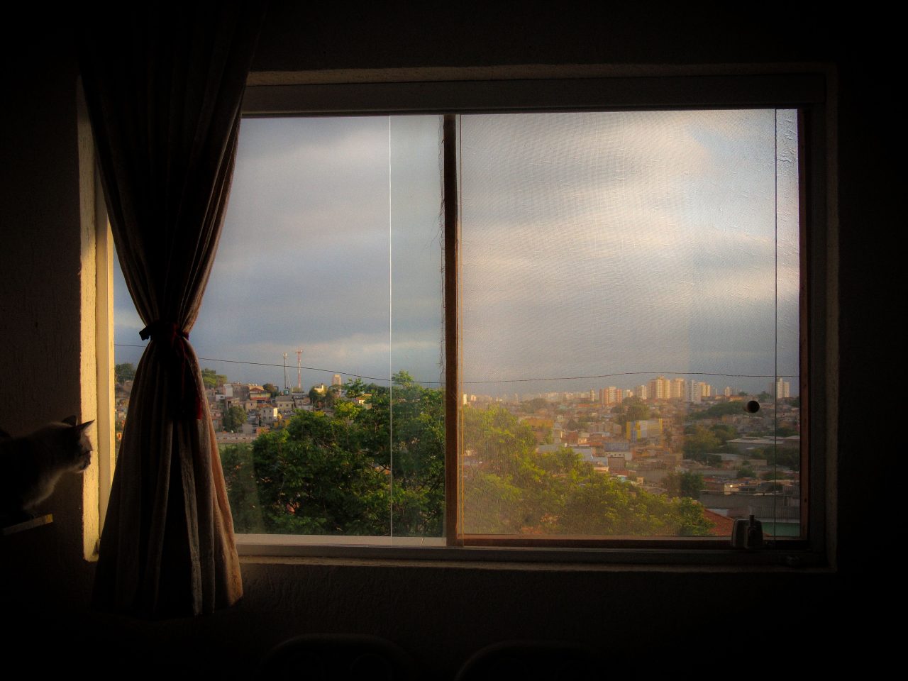A sunlit window looking out over a residential city skyline.